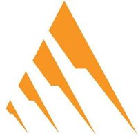 Denali Business logo