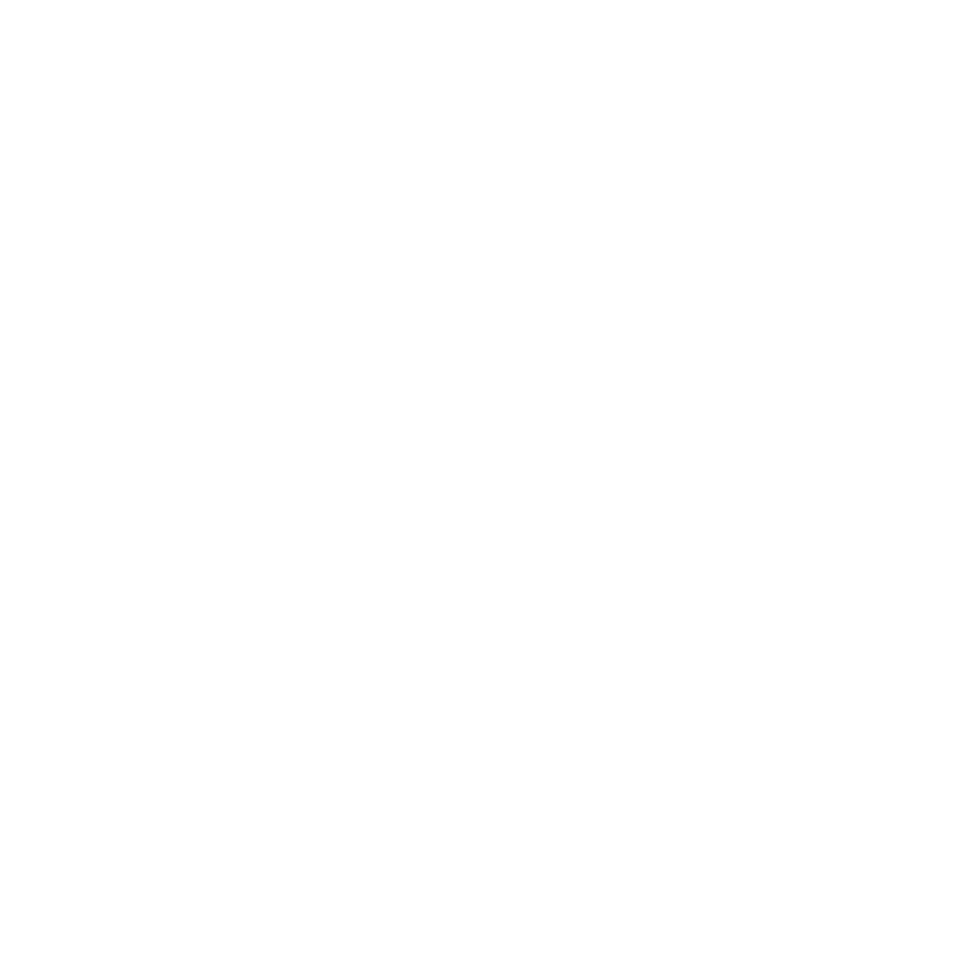 Metro Accounting System logo