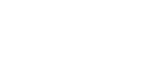 Checkflo logo
