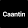 Caantin logo