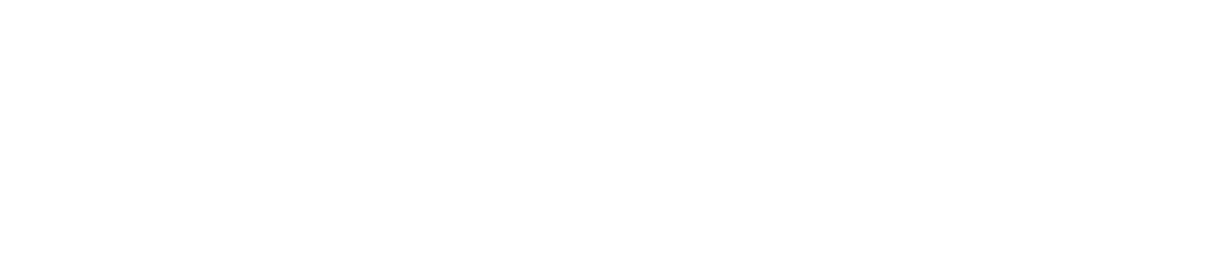 WidenPay logo