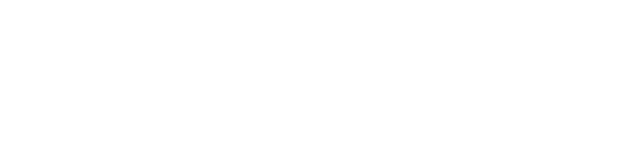 DataMatch logo