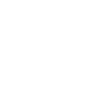 Global-Z logo
