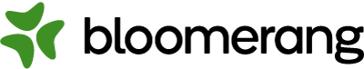 Bloomerang logo