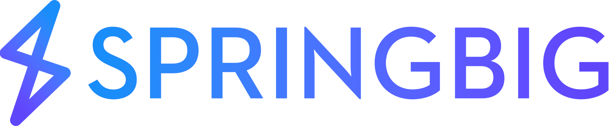springbig logo