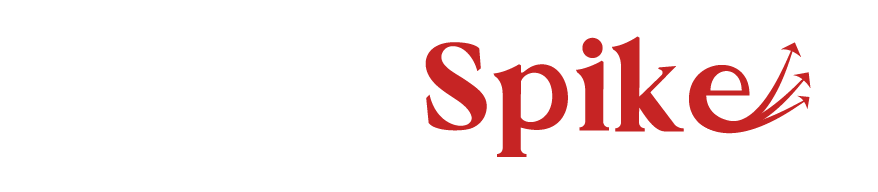 VenueSpike logo