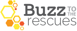 Buzz to the Rescues logo