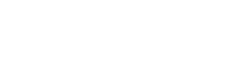 Zedonk Software logo