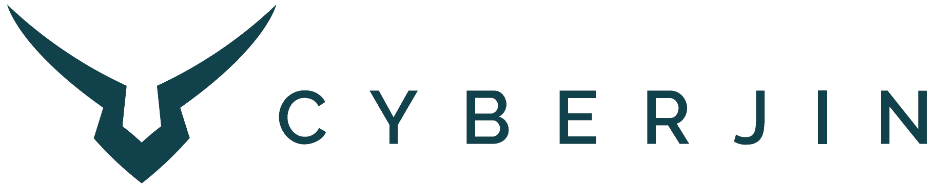 Cyberjin logo