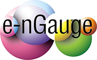 e-nGauge logo