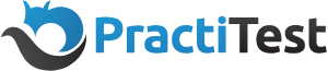 PractiTest logo
