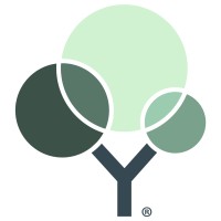 Y Meadows logo