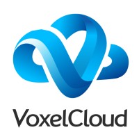 VoxelCloud DermX logo