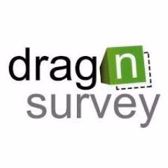 Drag'n Survey logo
