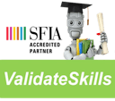 ValidateSkills logo