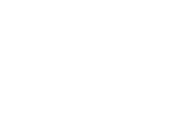 FMX logo