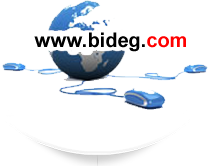 bideg logo