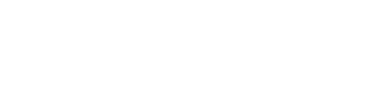 schnaq logo