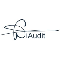 WiAudit logo
