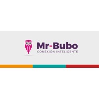 Bubo Management logo