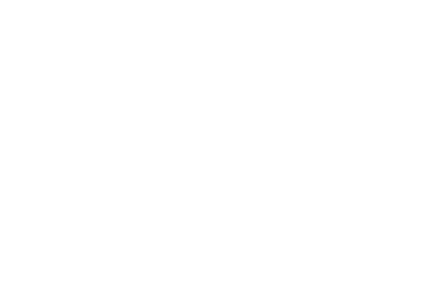 Cyber Garage logo