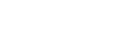 FlightBridge logo