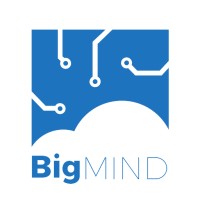 BigMIND logo