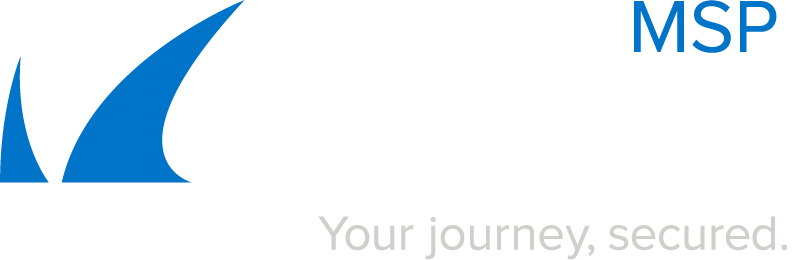 Barracuda Intronis Backup logo