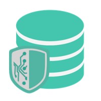 DSE Backup Expert Pro logo