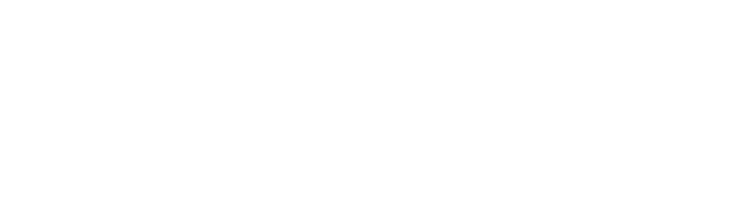 WithoutWire logo