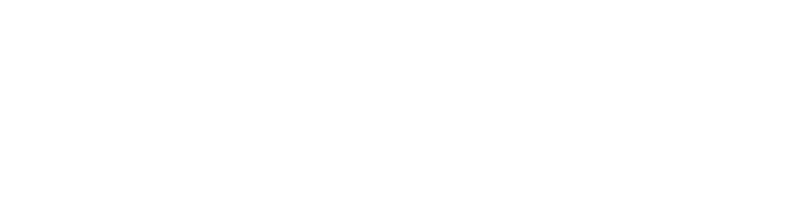 Conexia logo