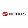 netfiles Board Room logo