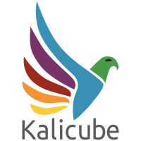Kalicube Pro logo