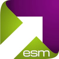ESM+Strategy logo