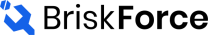 BriskForce logo