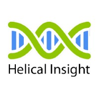 Helical Insight logo
