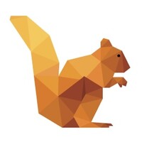 DataSquirrel logo