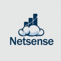 Netsense Exactlly ERP logo