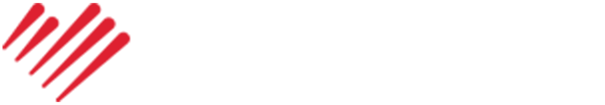 Visena logo