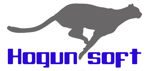 HOGUNSOFT logo