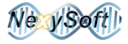 NexySoft-DC logo