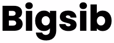 Bigsib logo
