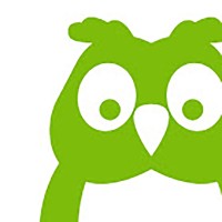 Owlwise logo