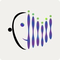 VideoTranslator logo