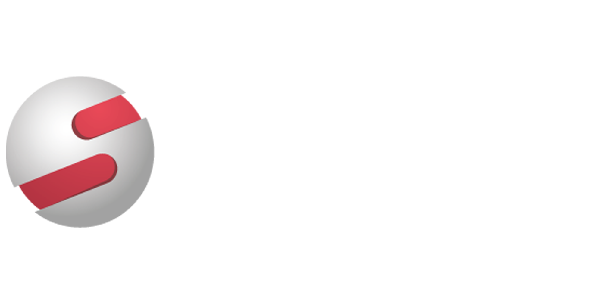 NetSfere logo