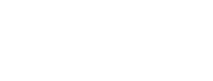 Orca Security logo