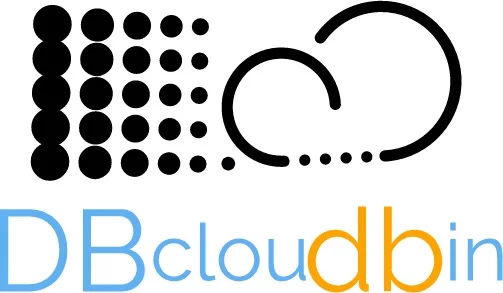 DBcloudbin logo