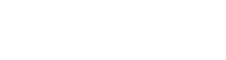 Zoidii logo