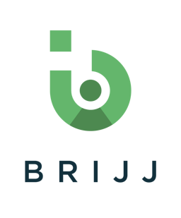 Brijj logo