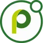 Powell Teams logo